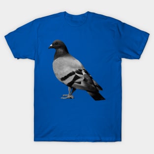 Pigeon 1 T-Shirt